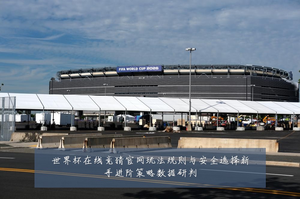 世界杯在线竞猜官网玩法规则与安全选择新手进阶策略数据研判